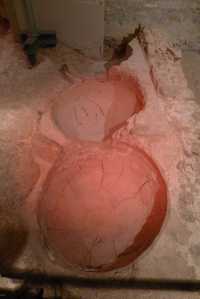 Cubs per a la producció de vi.