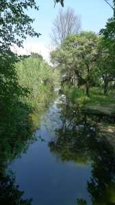 rec comtal vallbona 3