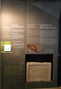 Plafó al Centre d'Interpretació