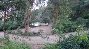 El safareig vist des d'un dels camins de la zona boscosa.