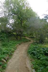 Camí de baixcada al sot de l'Estany.