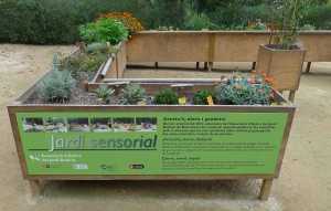 El jardí sensorial.