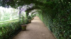 Interior de la pèrgola.