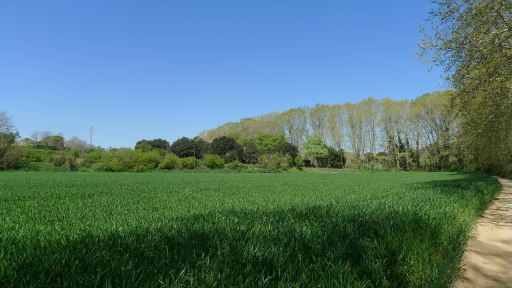 Paisatge a l'enton de Santiga.