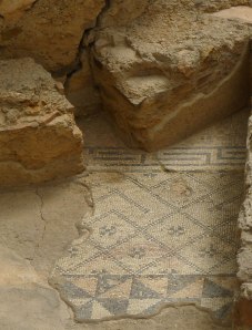 Detall del mosaic de l'apodytherium.