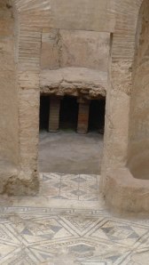 Detall de l'hypocastum.