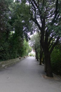 Un aspecte del camí del Cel.