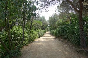 Camí a l'interior del parc.