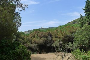 Sant Pére Màrtir des de la part alta del parc.