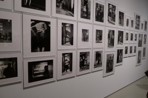 Fotos a l'exposició. Foto JAF.