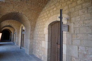 Sales Companys, Ferrer i Guàrdia i Rizal.