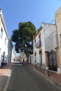 Carrer del Pi.
