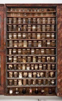 Armari amb pots de farmàcia. Foto: MCN-Jordi Vidal.