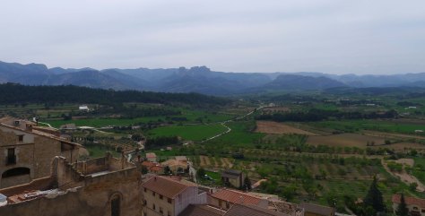 Panoràmica des del mirador del Cap de l'Ecomuseu.
