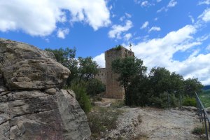 Torre de la muralla i palau.