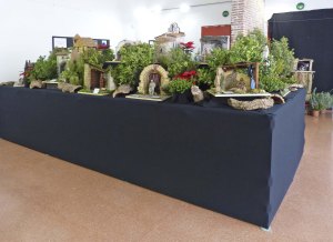 Exposició de pessebres plantats a Sant Mateu. Foto Enric Almar.