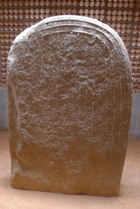 Fragment superior d'una de les esteles.