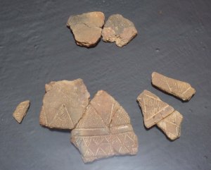 Fragments de vas campaniforme.