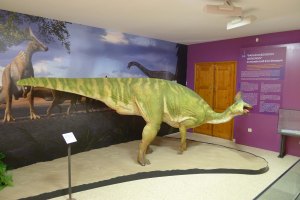 Maqueta de Pararhabdobon Isonensis