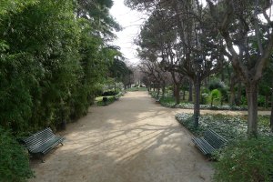 Un camí del parc.