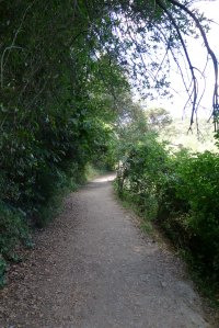 Cami entorn el pantà.