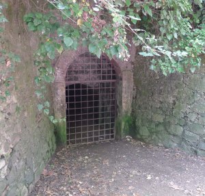 Entrada a la minagrot.