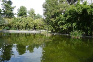 Estany a l'interior dels jardins.