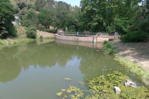 El pantà i la presa.