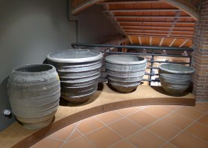 Cossis negres al Museu de la Terrissa.