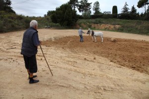 Feines de preparació de la terra a Can Quintana. Foto: Museu de la Terrissa.