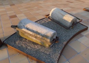 Roleus o corrons a la porta del Museu.