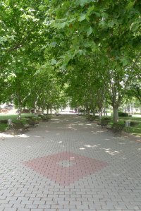Passeig amb plàtans d'ombra a l'eix central.