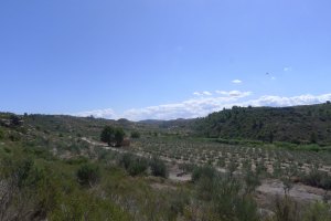 El paisatge que envolta la Roca dels Moros.