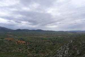 Paisatge des de l'abric.