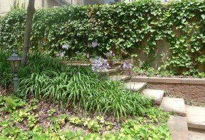 Jardí. Racó amb escales.