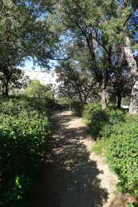 Un dels camins del parc.