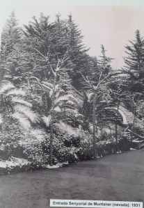 Entrada senyorial de Muntaner nevada. 1931.Arxiu Família Gil i Escolá. Mercé Ferrer Escolá.