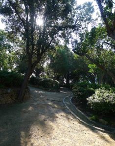 Un dels camins del parc.