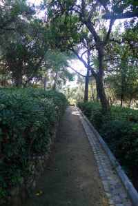 Un dels camins del parc.