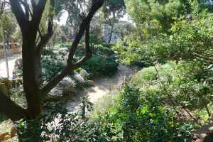 Camí amb margallons.