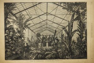 Hivernacle al març de 1884. Revista La Ilustració Catalana.