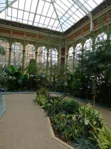 Hivernacle. Interior nau Magnòlies.