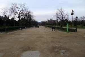 Parc de la Ciutadella. Passeig dels Til·lers.
