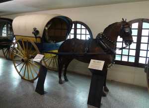 Tartana amb cavall dissecat.