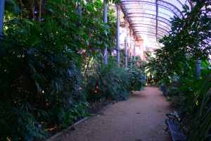 Interior de l'Umbracle