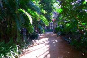 Interior de l'Umbracle
