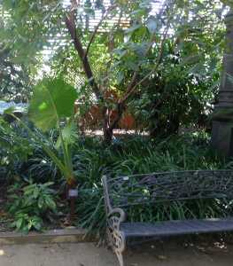 Interior de l'Umbracle