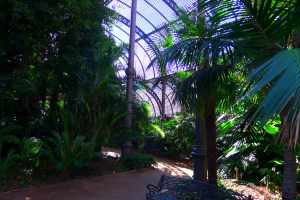 Interior de l'Umbracle