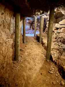 Trinxeres als tossals de Montgai.