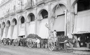 Pagesos descarregant fruita prop d'un mercat de l'Havana, el 1855.